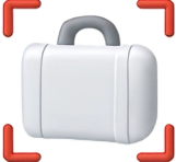 Abandoned baggage or object identification