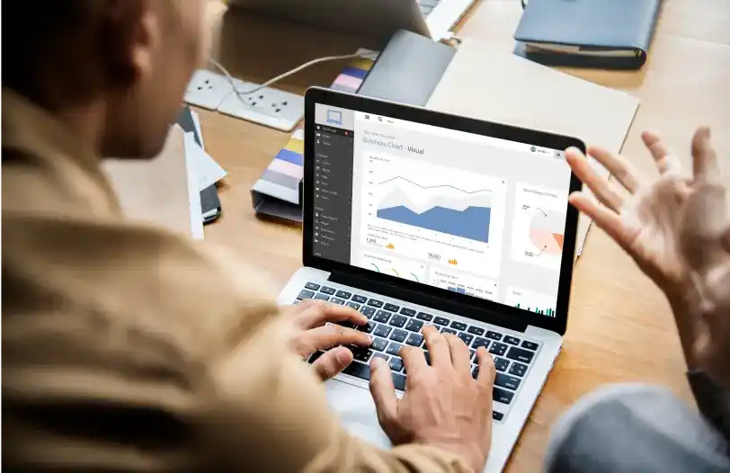 Data Analysts